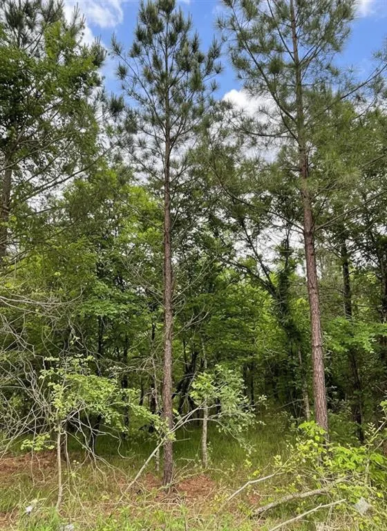 Photo 2 — 660 Timber Creek Trails South XI, Broken Bow, OK 74728