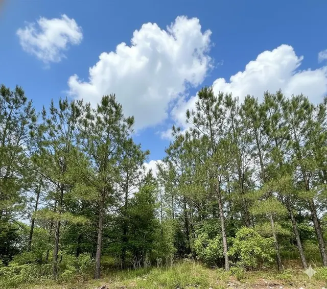 Photo 2 — 670 Timber Creek Trails South XI, Broken Bow, OK 74728