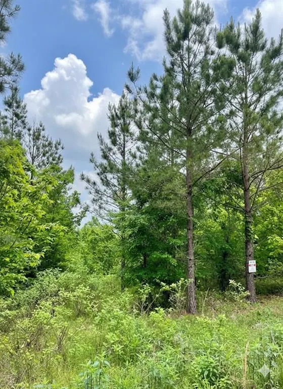 Photo 2 — 658 Timber Creek Trails South XI, Broken Bow, OK 74728