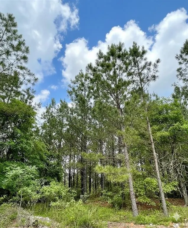 Photo 2 — 671 Timber Creek Trails South XI, Broken Bow, OK 74728