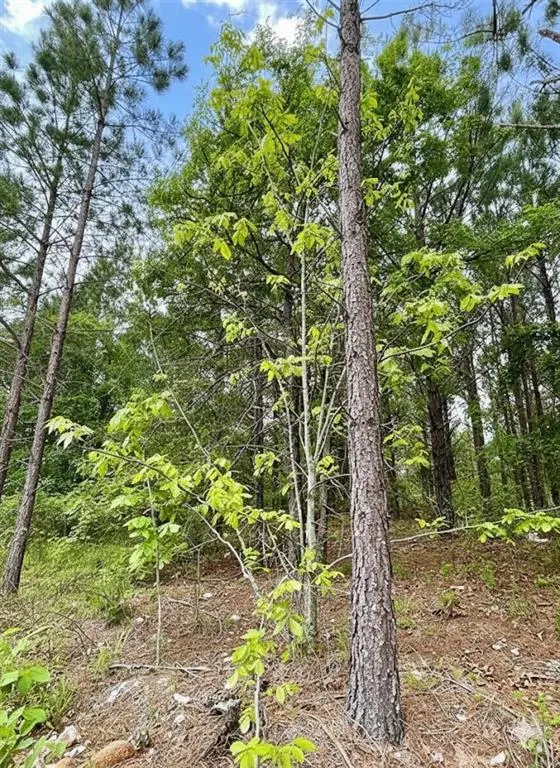Photo 3 — 671 Timber Creek Trails South XI, Broken Bow, OK 74728
