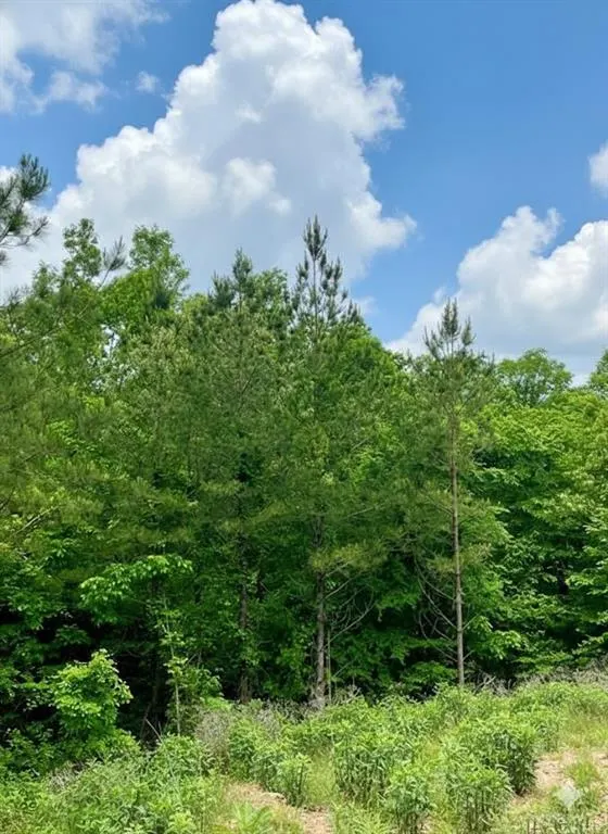 Photo 3 — 656 Timber Creek Trails South XI, Broken Bow, OK 74728