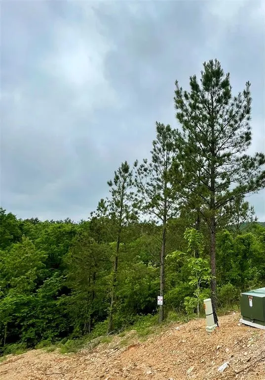 Photo 2 — 673 Timber Creek Trails South XI, Broken Bow, OK 74728