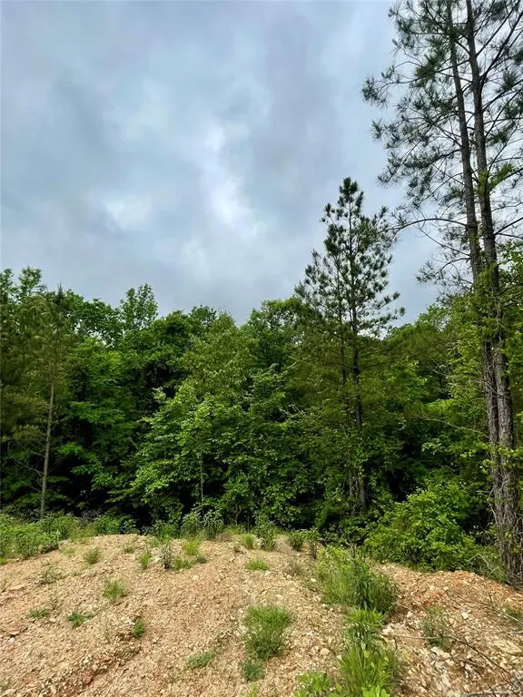 Photo 4 — 673 Timber Creek Trails South XI, Broken Bow, OK 74728