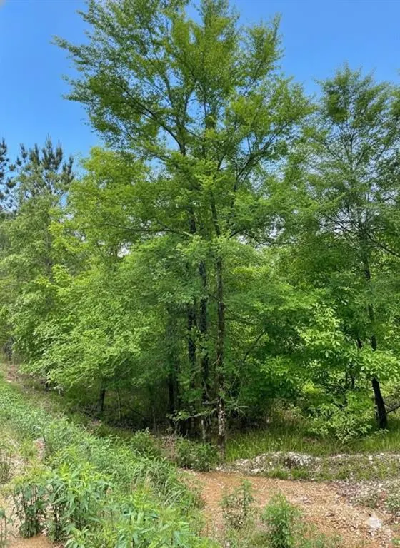 Photo 2 — 662 Timber Creek Trails South XI, Broken Bow, OK 74728
