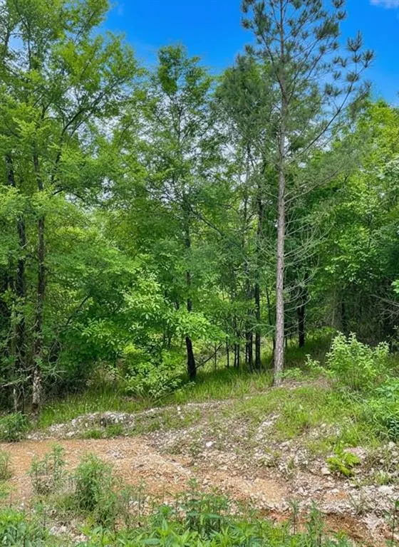 Photo 3 — 662 Timber Creek Trails South XI, Broken Bow, OK 74728
