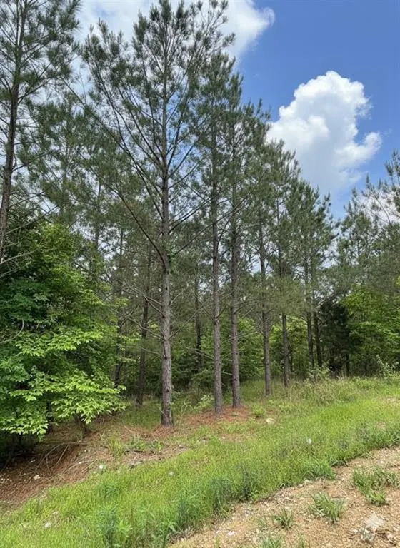 Photo 3 — 663 Timber Creek Trails South XI, Broken Bow, OK 74728