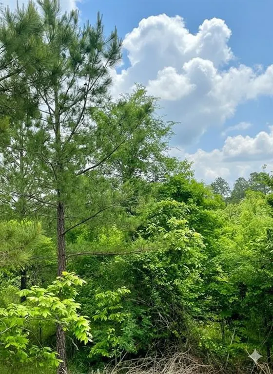 Photo 2 — 665 Timber Creek Trails South XI, Broken Bow, OK 74728