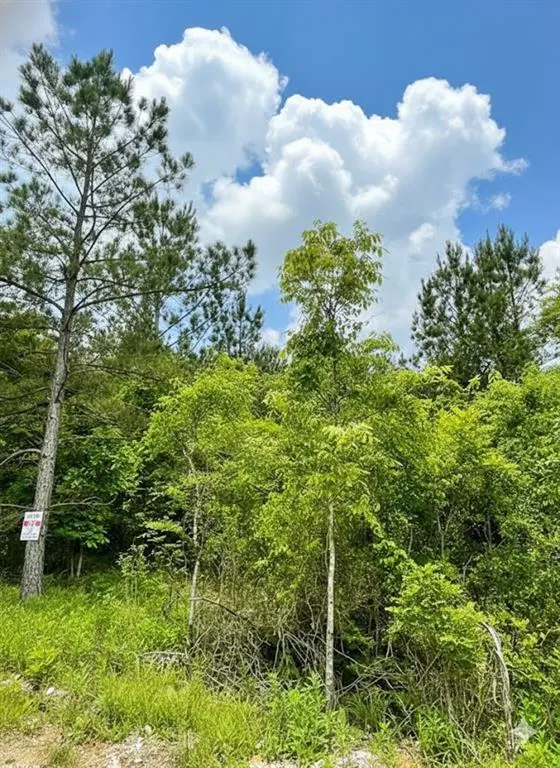 Photo 2 — 667 Timber Creek Trails South XI, Broken Bow, OK 74728