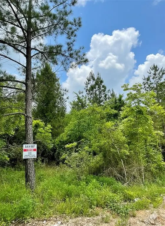 Photo 3 — 667 Timber Creek Trails South XI, Broken Bow, OK 74728