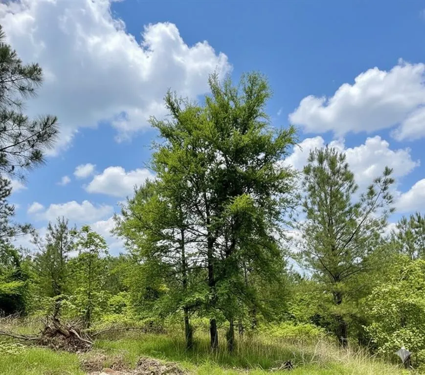 Photo 2 — 669 Timber Creek Trails South XI, Broken Bow, OK 74728