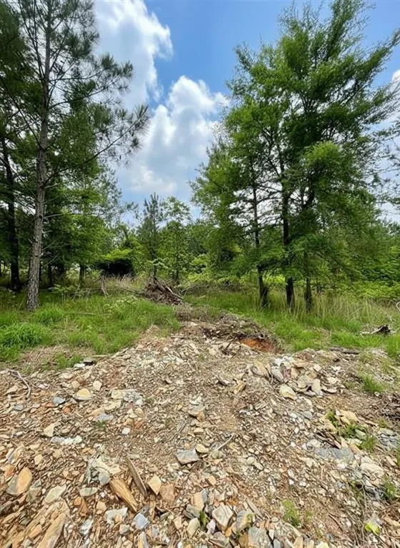 Photo 3 — 669 Timber Creek Trails South XI, Broken Bow, OK 74728