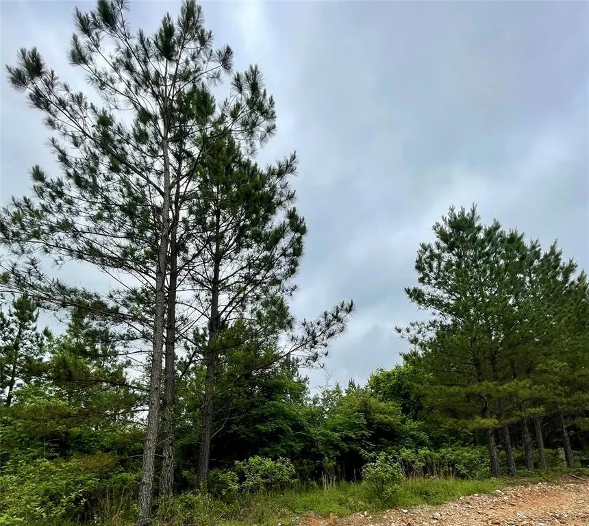 Front exterior — 672 Timber Creek Trails South XI, Broken Bow, OK 74728