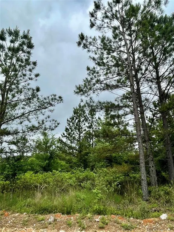 Photo 2 — 672 Timber Creek Trails South XI, Broken Bow, OK 74728