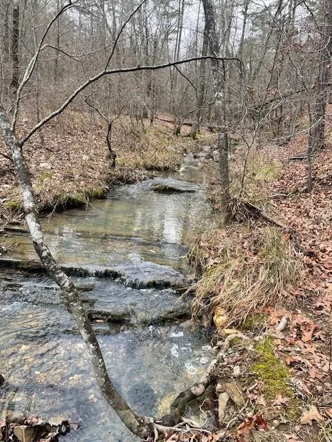 Photo 3 — 674 Timber Creek Trials South XI, Broken Bow, OK 74728