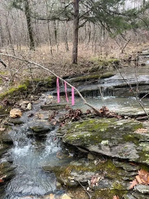 Photo 5 — 674 Timber Creek Trials South XI, Broken Bow, OK 74728