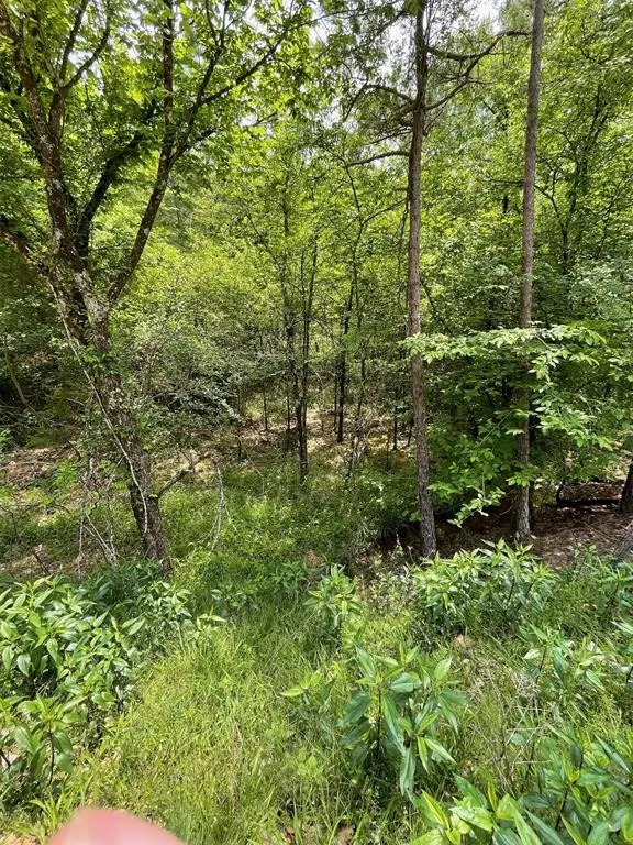 Photo 3 — 675 Timber Creek Trails South XI, Broken Bow, OK 74728