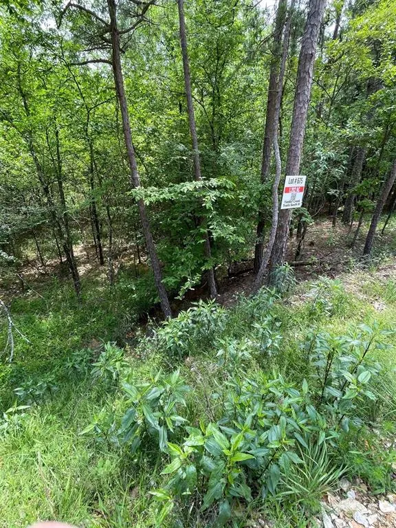 Photo 4 — 675 Timber Creek Trails South XI, Broken Bow, OK 74728