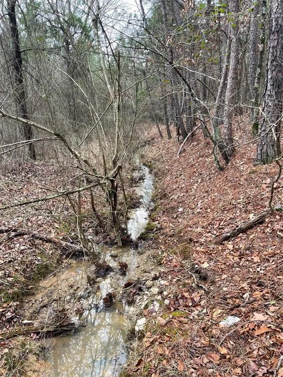 Photo 6 — 675 Timber Creek Trails South XI, Broken Bow, OK 74728