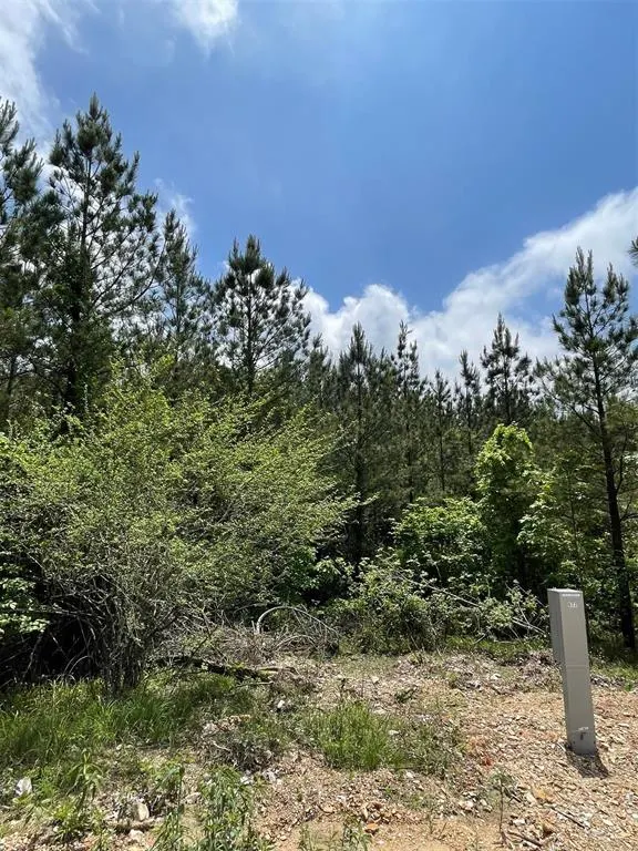 Photo 2 — 677 Timber Creek Trails South XI, Broken Bow, OK 74728