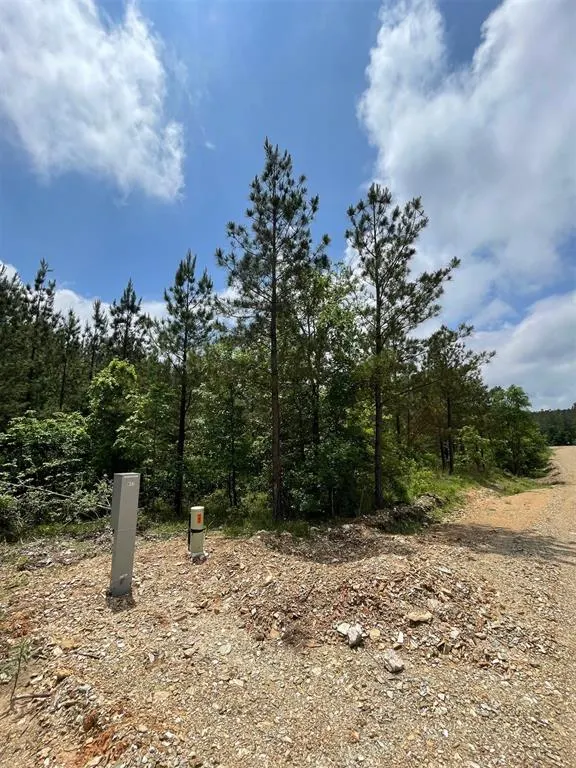 Photo 3 — 677 Timber Creek Trails South XI, Broken Bow, OK 74728