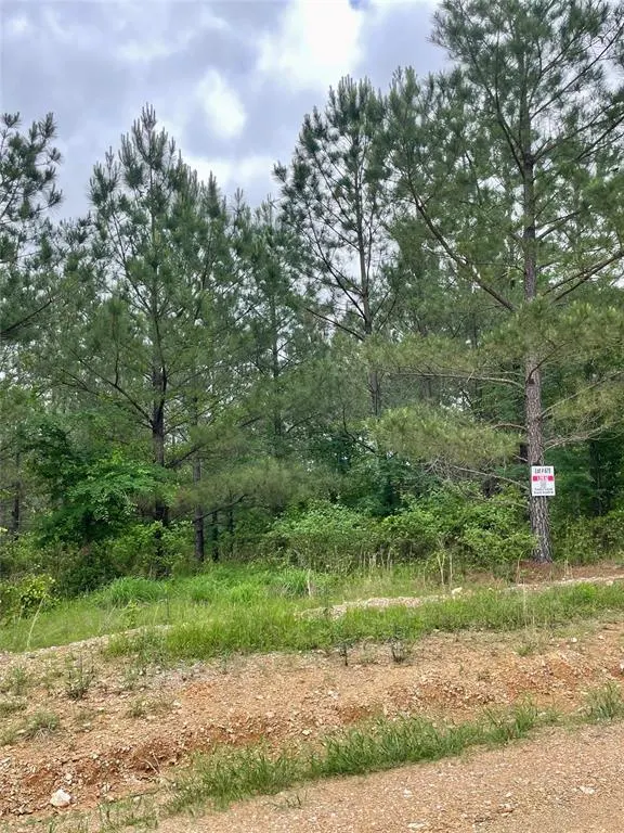 Photo 2 — 679 Timber Creek Trails South XI, Broken Bow, OK 74728