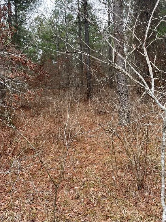 Photo 3 — 685 Timber Creek Trails South XI, Broken Bow, OK 74728