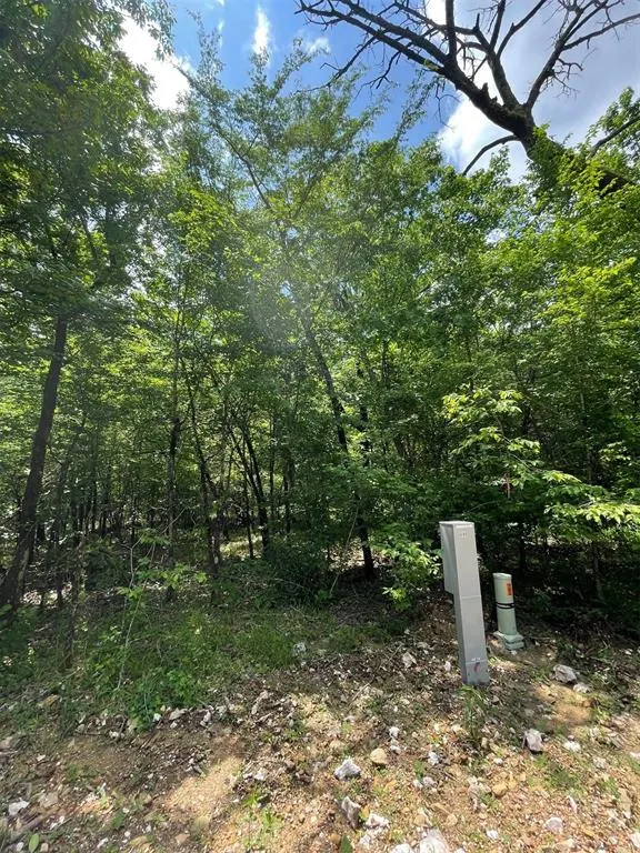 Photo 3 — 686 Timber Creek Trails South XI, Broken Bow, OK 74728