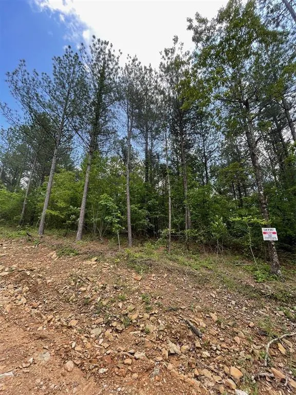 Photo 3 — 687 Timber Creek Trails South XI, Broken Bow, OK 74728