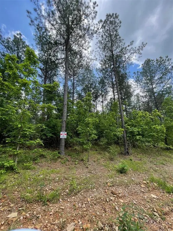 Photo 2 — 688 Timber Creek Trails South XI, Broken Bow, OK 74728