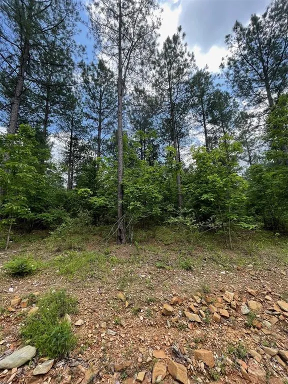 Photo 3 — 688 Timber Creek Trails South XI, Broken Bow, OK 74728