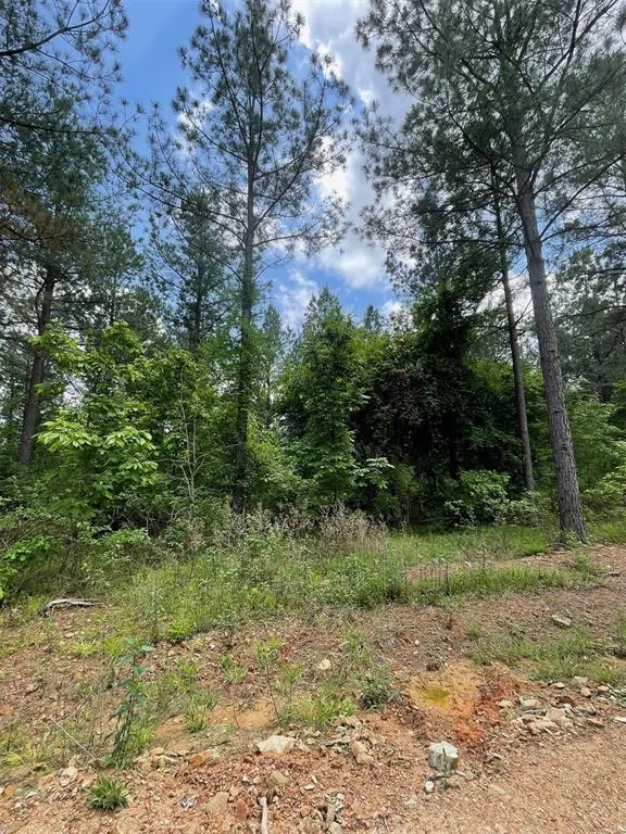 Photo 2 — 689 Timber Creek Trails South XI, Broken Bow, OK 74728