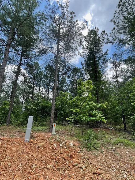 Photo 4 — 689 Timber Creek Trails South XI, Broken Bow, OK 74728