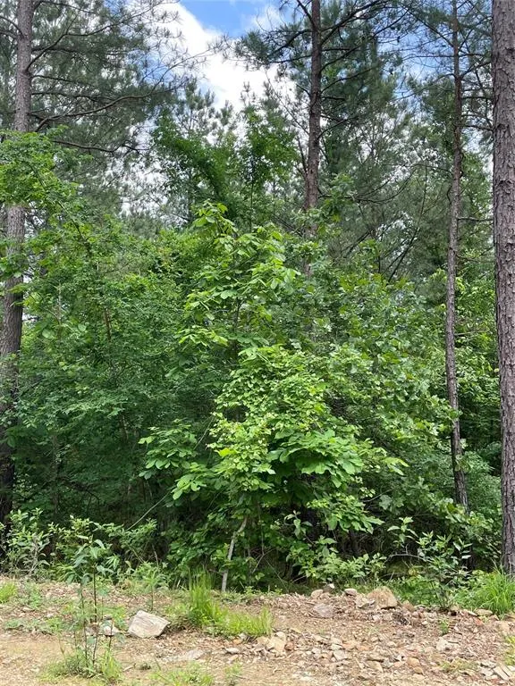Photo 2 — 690 Timber Creek Trails South XI, Broken Bow, OK 74728