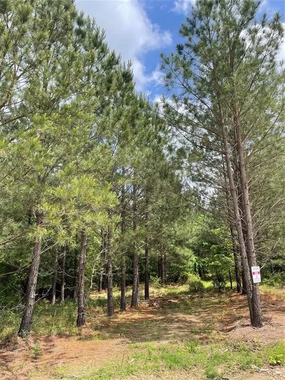Photo 3 — 692 Timber Creek Trails South XI, Broken Bow, OK 74728
