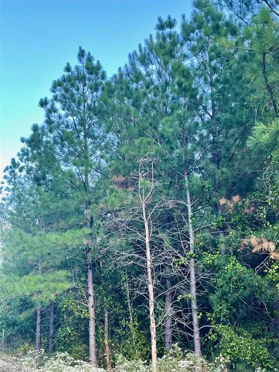 Photo 2 — 693 Timber Creek Trails South XI, Broken Bow, OK 74728