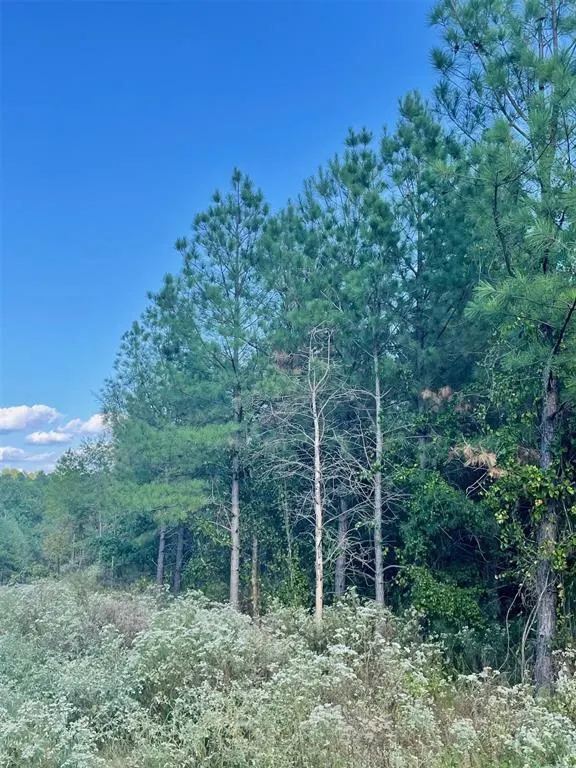 Photo 3 — 693 Timber Creek Trails South XI, Broken Bow, OK 74728