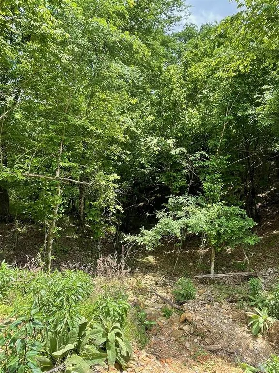 Photo 3 — 694 Timber Creek Trails South XI, Broken Bow, OK 74728