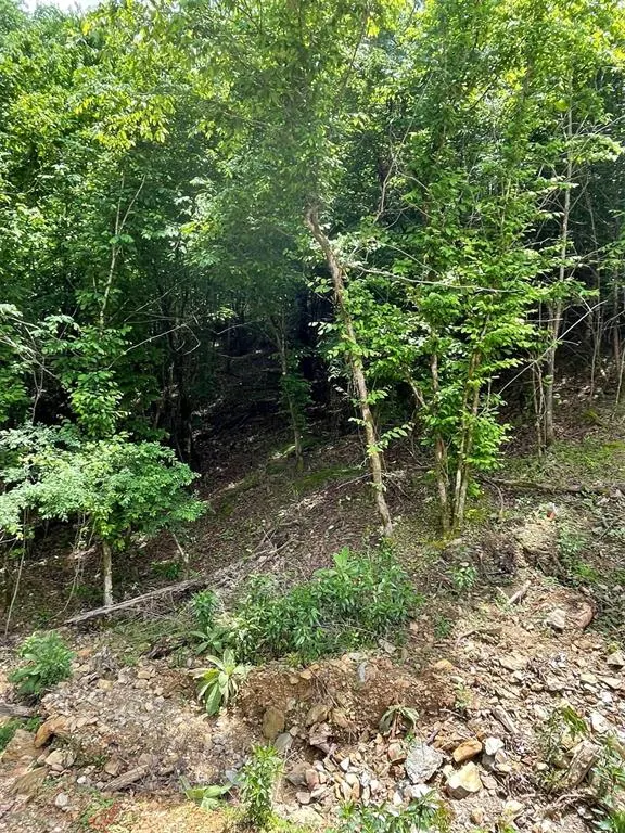 Photo 4 — 694 Timber Creek Trails South XI, Broken Bow, OK 74728
