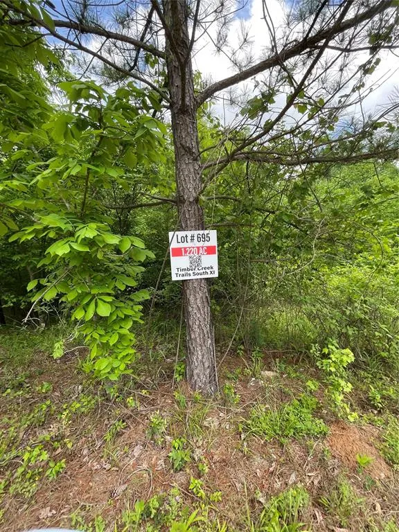 Photo 3 — 695 Timber Creek Trails South XI, Broken Bow, OK 74728