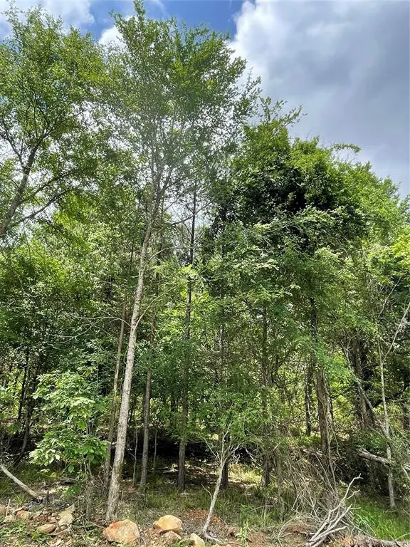 Photo 2 — 696 Timber Creek Trails South XI, Broken Bow, OK 74728
