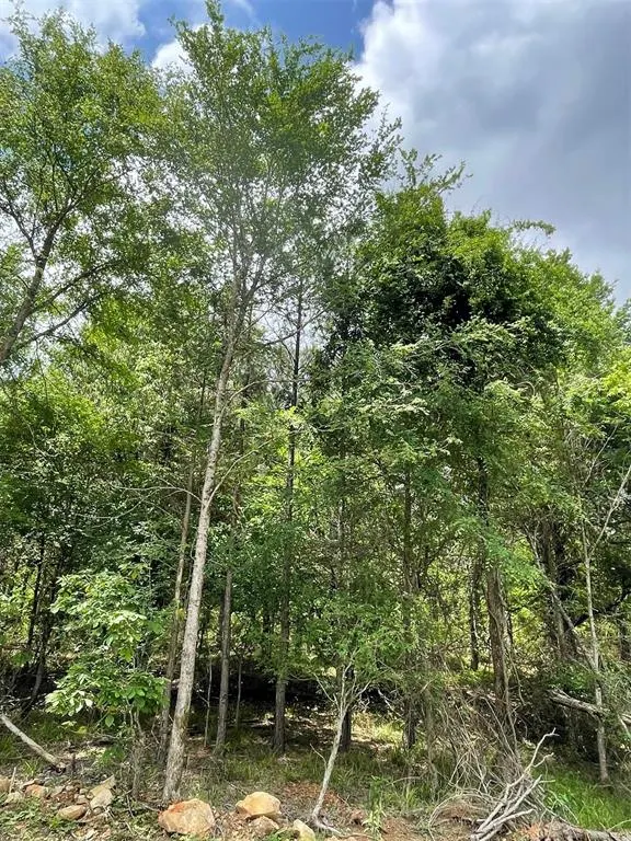 Photo 2 — 697 Timber Creek Trails South XI, Broken Bow, OK 74728