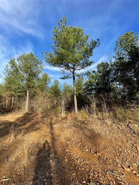 Photo 3 — 699 Timber Creek Trails South XI, Broken Bow, OK 74728