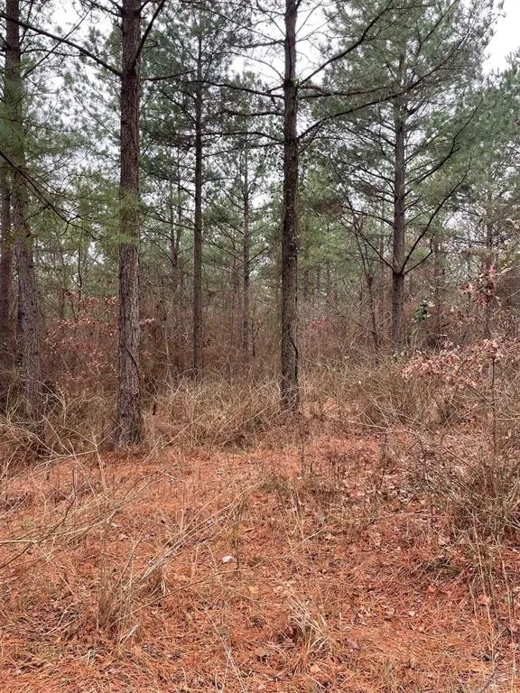 Photo 3 — 700 Timber Creek Trails South XI, Broken Bow, OK 74728
