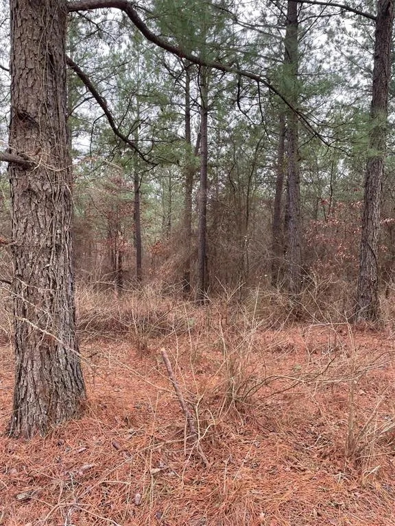Photo 2 — 700 Timber Creek Trails South XI, Broken Bow, OK 74728