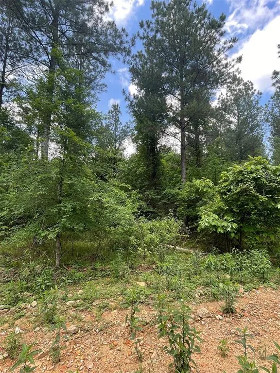 Photo 2 — 702 Timber Creek Trails South XI, Broken Bow, OK 74728