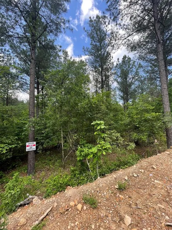 Photo 2 — 703 Timber Creek Trails South XI, Broken Bow, OK 74728