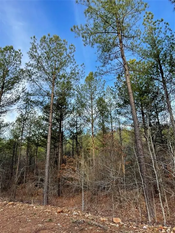 Photo 4 — 703 Timber Creek Trails South XI, Broken Bow, OK 74728