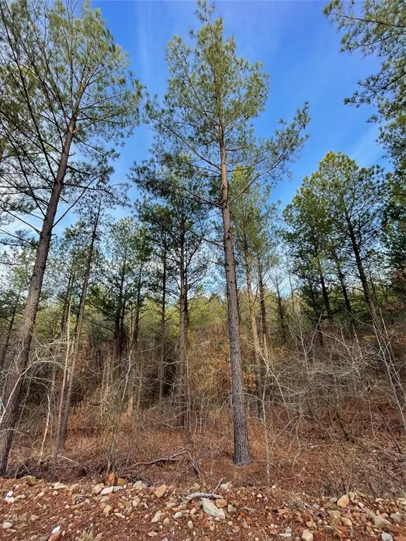 Photo 5 — 703 Timber Creek Trails South XI, Broken Bow, OK 74728