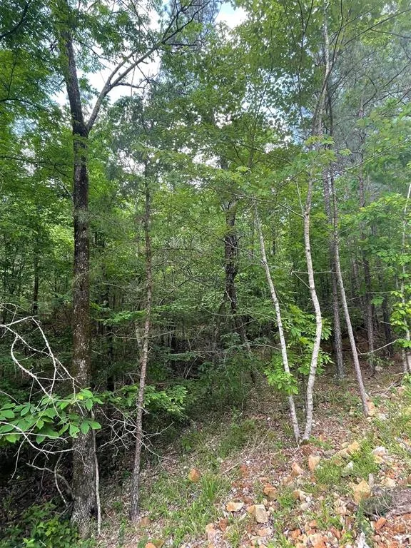 Photo 2 — 704 Timber Creek Trails South XI, Broken Bow, OK 74728